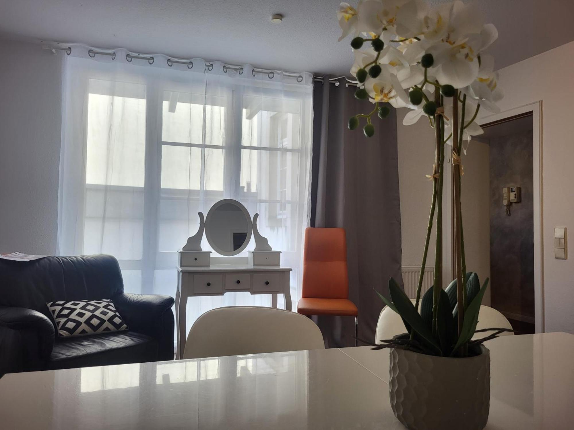 Domino Apartment バーデン＝バーデン エクステリア 写真